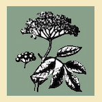 Hedgerows Unlimited Logo